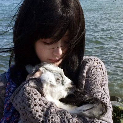 我来也大战四猛虎