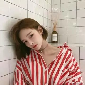 女人的碎片